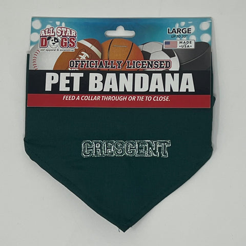 Pet Bandanna